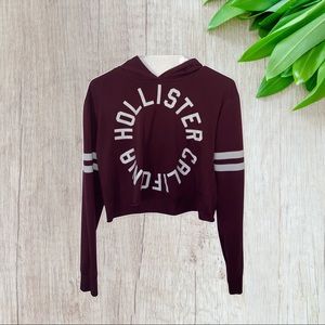 Hollister hooded crop top